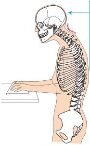 デスクワークで猫背の模型