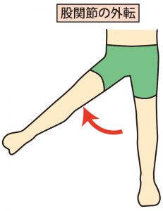 股関節外転