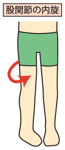 股関節内旋